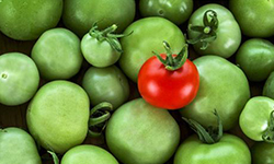 加盟投資創(chuàng)業(yè)項目什么好?